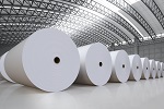 「紙」と「森」の新しい使い道に活路をさぐる製紙業界【業界研究ニュース】